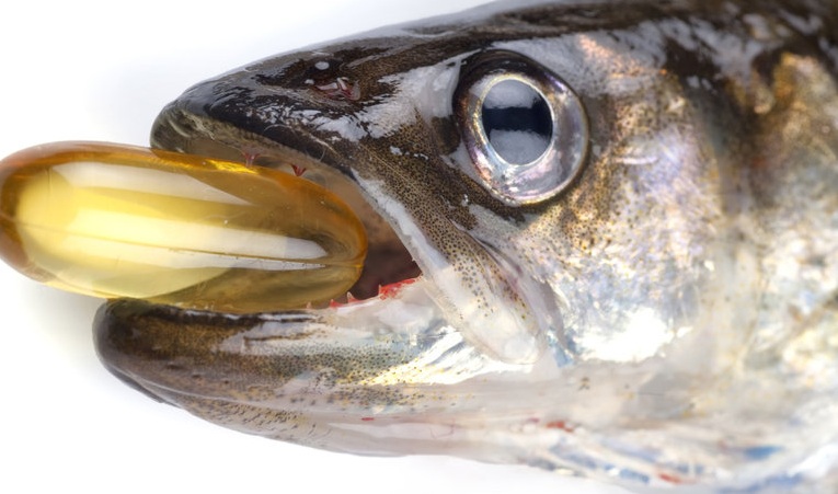 Global Fish Oil Market: A Market That Provides Healthy Dietary Supplements