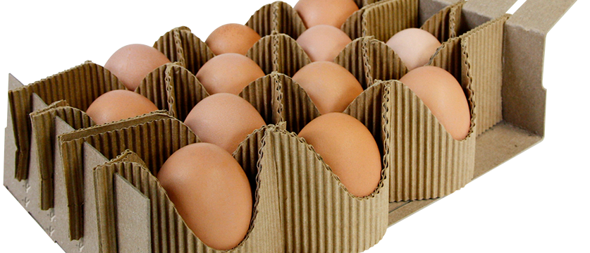 Creative And Green Packaging Is The Latest Trend In Global Egg Packaging Market