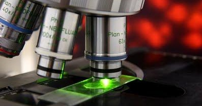 Biologics Drug Discovery Market: Evolution Of Medication